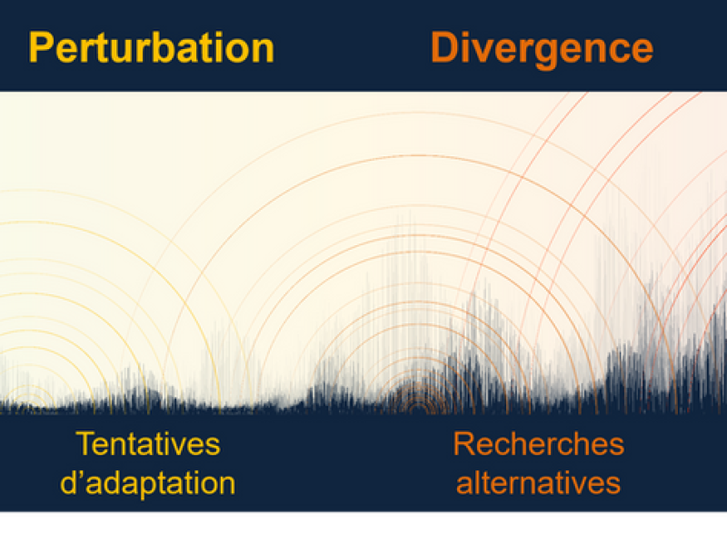 Points de bifurcation