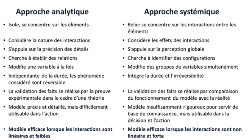 approche systémique