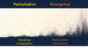 système de bifurcation