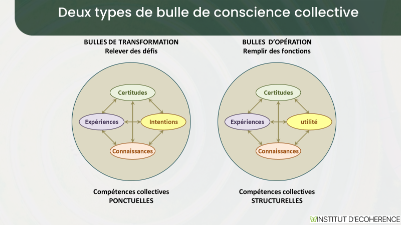 Bulles de compétences collectives