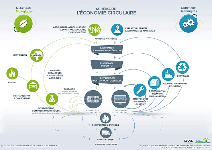 économie circulaire schéma